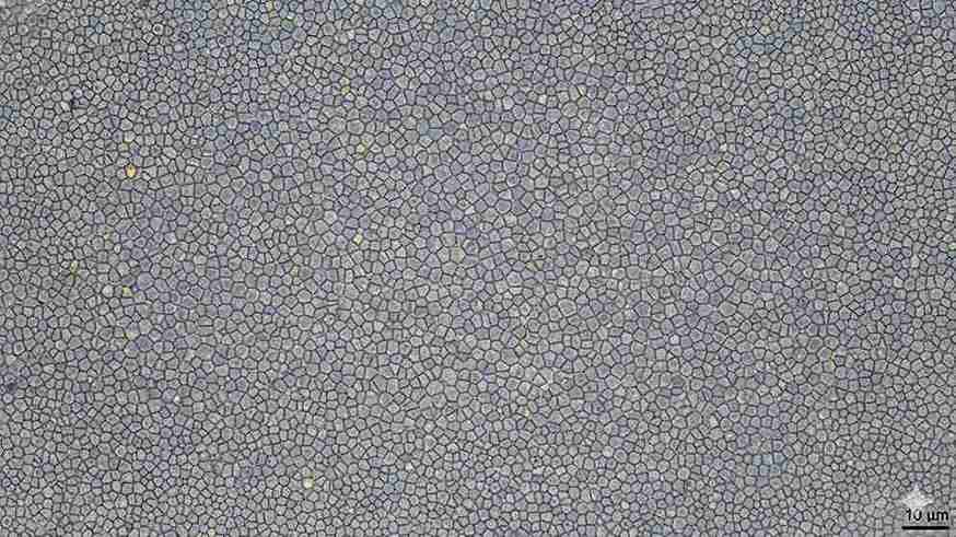 A microscopic image showing a uniform fine-grain metal structure