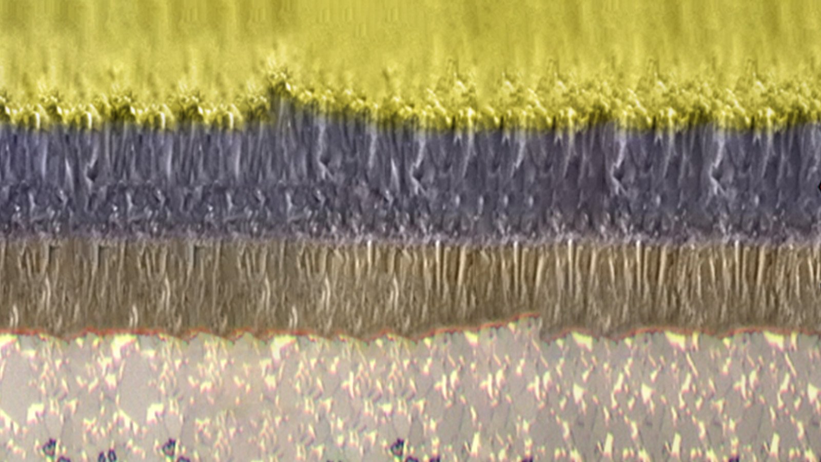 A close-up of a tungsten carbide blade with a multi-colored TiN+Al₂O₃+TiCN composite coating