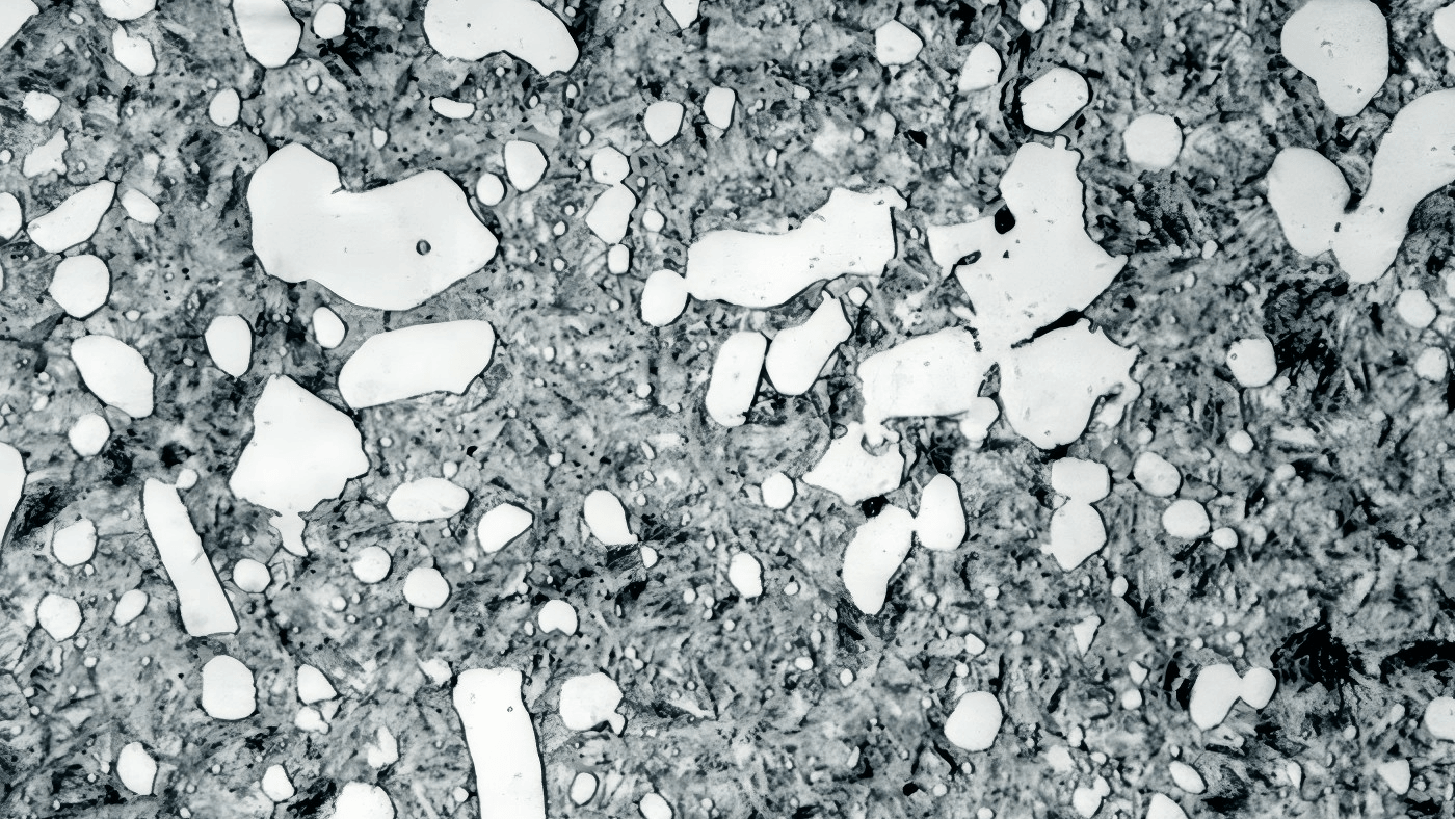 A close-up shot of the microstructure of tool steel